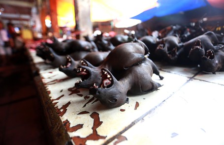 Ini 2 Pasar Unik di Indonesia Tengah