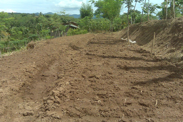 Kuansing Miliki Potensi 2.000 Ha Lahan untuk Kolam Ikan, Tergarap Baru 259 Ha