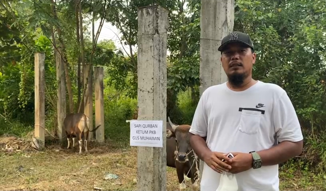 Semarakan Hari Raya Qurban1442 H, PKB Riau Siapkan 5 Ekor Sapi
