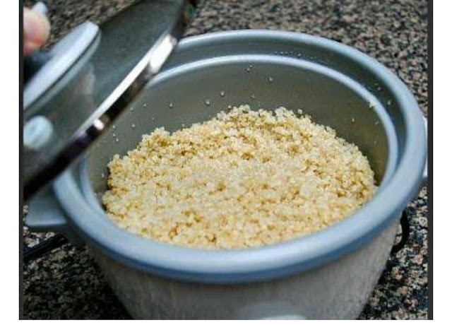 Nasi Basi Jangan di Buang karena Ternyata Bisa Mendulang Emas