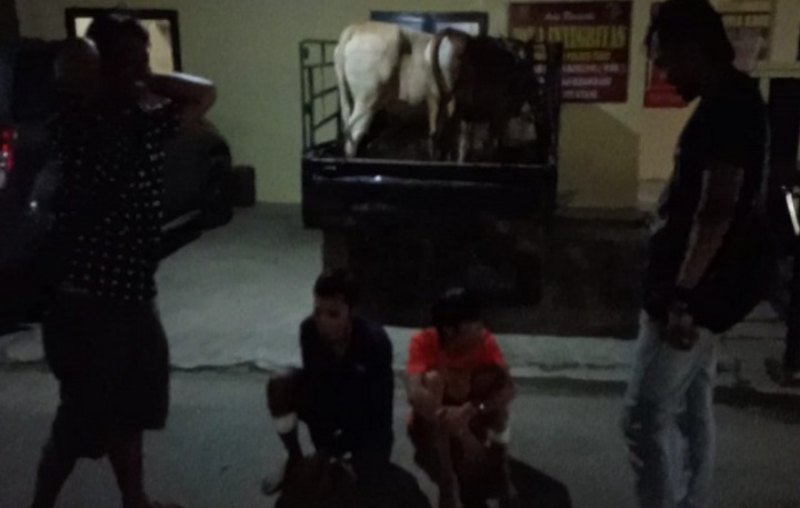 Dorrr! Curi 3 Hewan Kurban, 2 Pria Ini Dihadiahi Timah Panas oleh Polisi