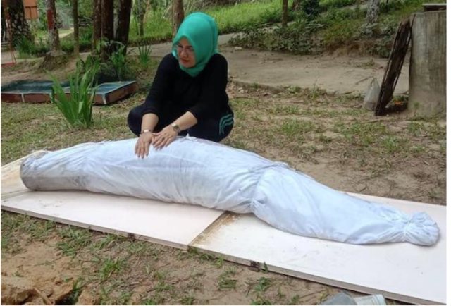 Ikan Arwana yang Mati Dikuburkan dengan Terbungkus Kain Kafan