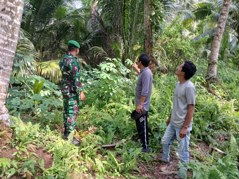 Babinsa Pratu Deby Patroli Karhutla di Wilayah Kateman