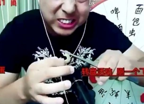 Makan Lipan dan Tokek Hidup-hidup Saat Live, Vlogger ini Meninggal