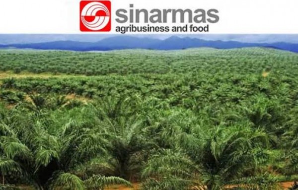 DPRD Riau Duga Sinar Mas Lakukan Pengemplangan PSDH Rp400 Miliar