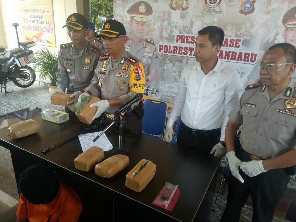 Lakukan Penyelidikan Pelaku Jambret, Polisi Malah Berhasil Bekuk Pengedar Ganja