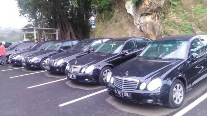 Bluebird Akan Lelang Mobil Mewah Mercedes dan Alphard