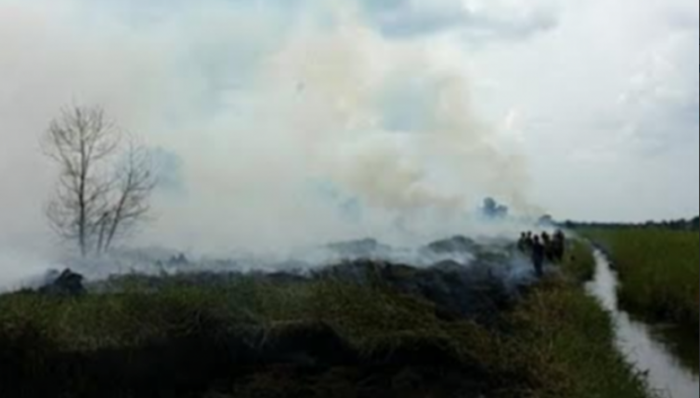 Sebanyak 55 Hotspot Terpantau di Rokan Hilir