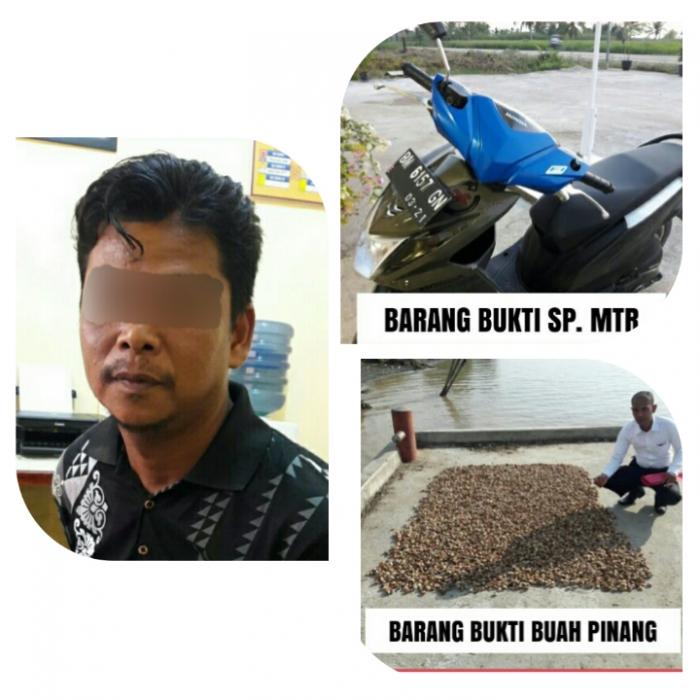 Rampas Sepeda Motor dan Pinang 40Kg Milik Orang Lain, SY Diringkus Polisi