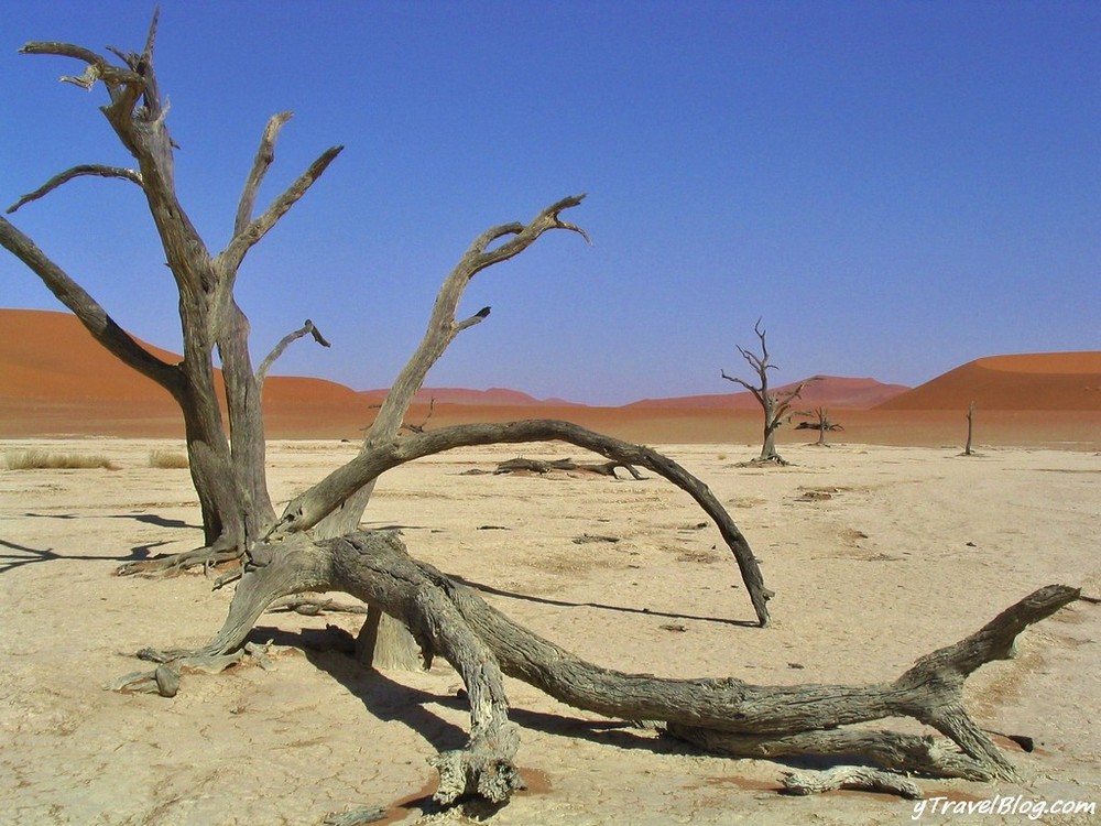 10 Kota Terpanas di Dunia