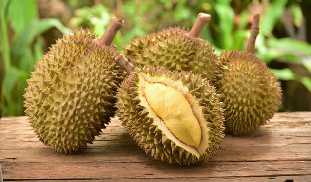 10 Manfaat Kesehatan Makan Durian