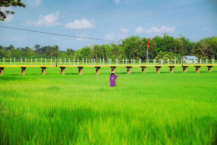 12 Desa Wisata di Riau yang Memanjakan Mata Wisatawan