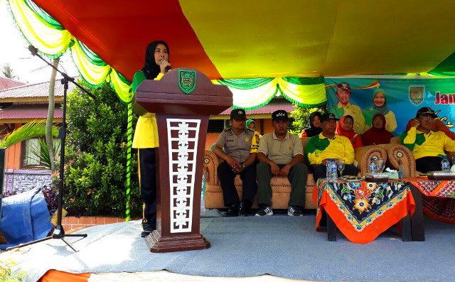 Zulaikhah Wardan Berikan Apresiasi Terhadap TP PKK Kecamatan Tembilahan Hulu