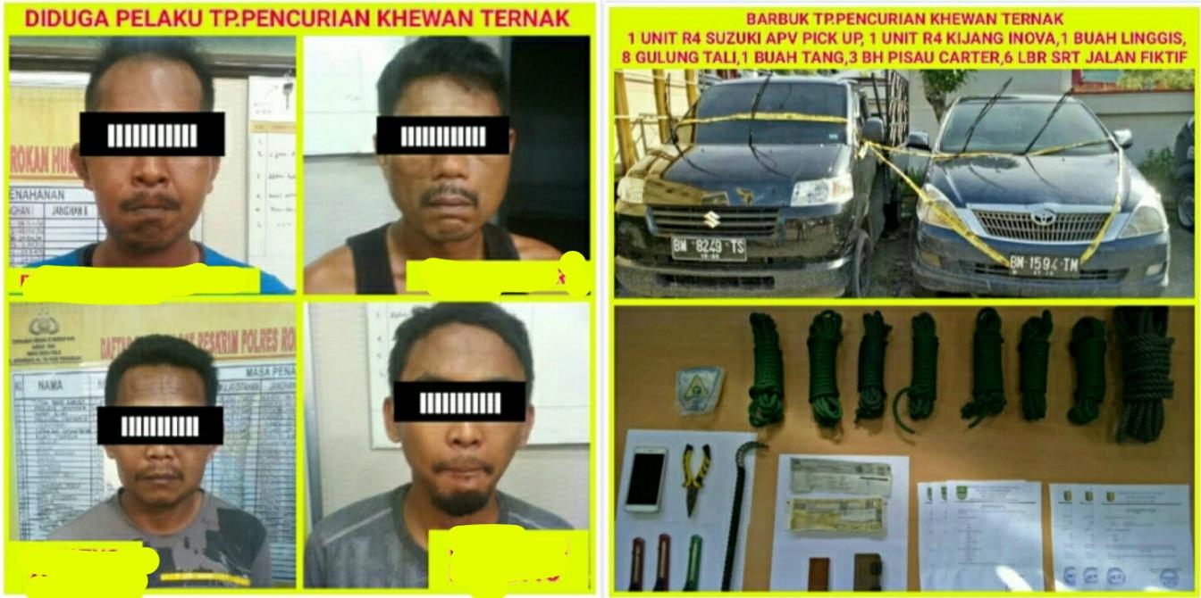 4 Pencuri Ternak Menggunakan Mobil Diringkus