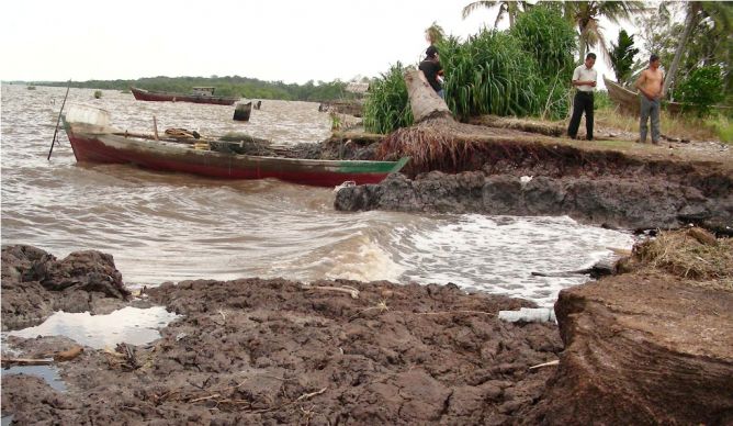 Daratan Meranti Terkikis 30 Meter Setiap Tahun Akibat Abrasi