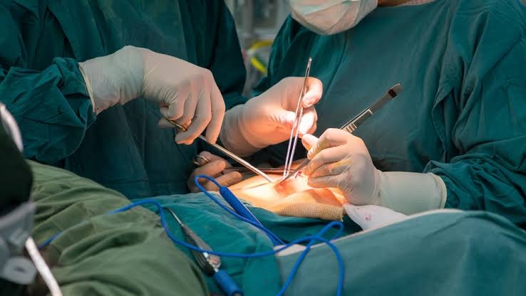 Dokter Temukan Lebih dari Puluhan Belatung di Luka Bekas Tumor Seorang Nenek