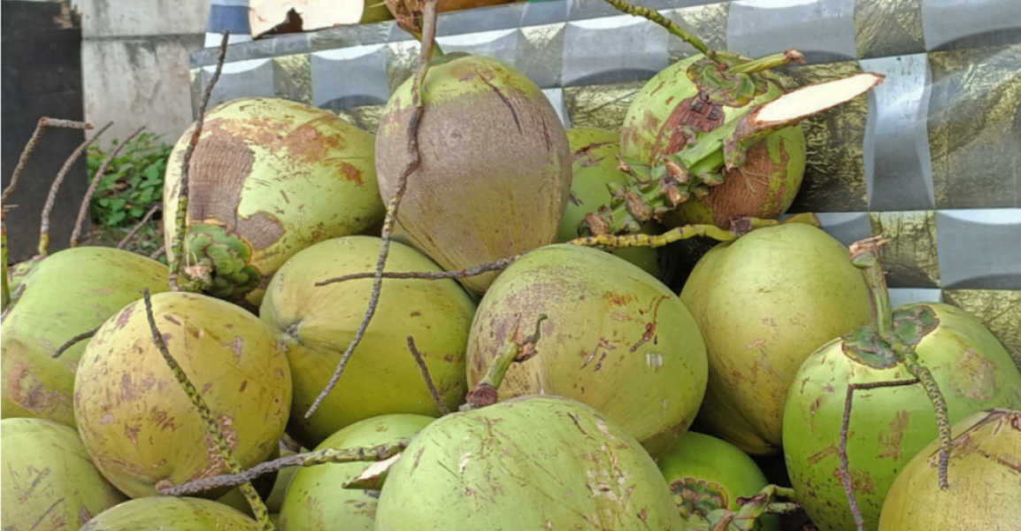 Terjadi Kenaikan dan Penurunan, Berikut Daftar Harga Produk Komoditi Perkebunan di Riau