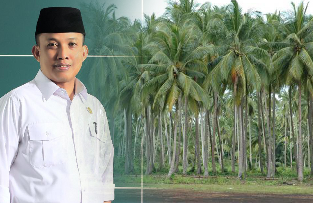 Ketua DPRD Inhil: Kalau Terus Dibiarkan, 10 Tahun Mendatang Inhil Tak Lagi Jadi Negeri Hamparan Kelapa Dunia