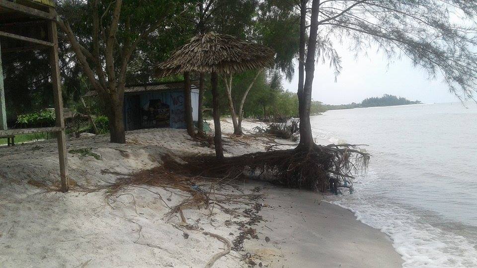 Mengalami Abrasi, Pantai Mutiara Indah Desa Sentang Terancam Punah