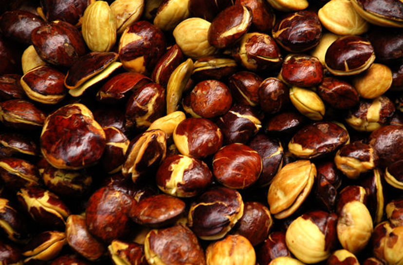 Harga Jengkol Terus Meroket