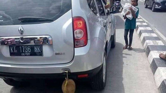 Pengemudi Ini Bawa Duren dengan Cara Unik, Kamu Bisa Tiru