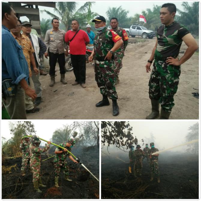 Dua Dandim Turun Langsung Padamkan Karhutla di Perbatasan