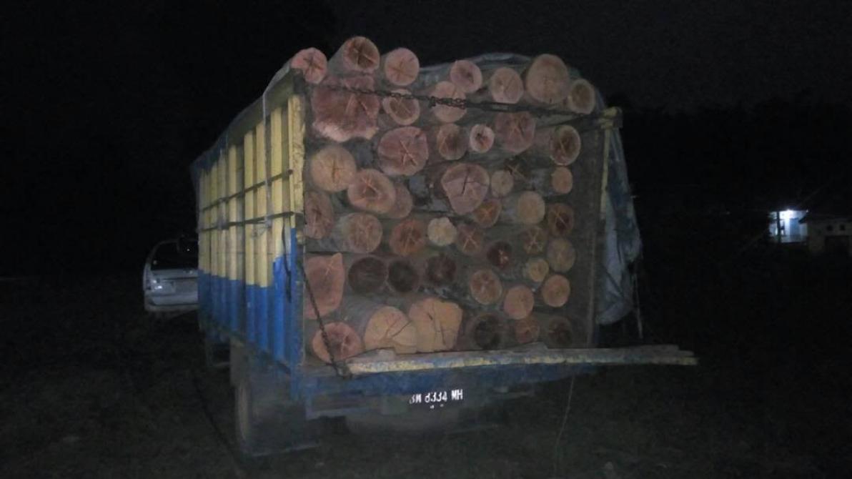 Polsek Tandun Amankan Pelaku dan Kayu Tanpa Dokumen