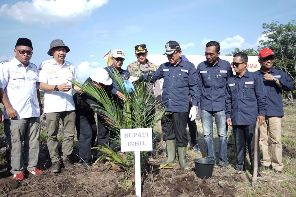 Bupati Inhil dan Unsur Forkopimda Tanam Perdana Kelapa Sawit PKSP Di Desa Harapan Jaya