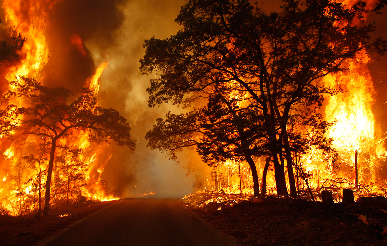14 Hektar Lahan di Meranti Terbakar Dalam Kurun Waktu Satu Hari