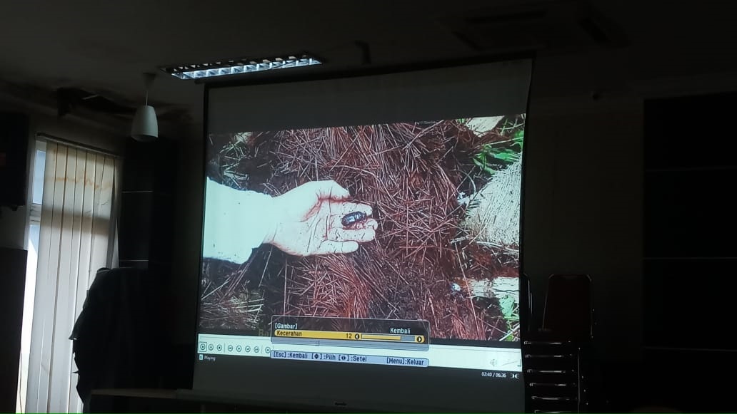 Hasil Kajian Tim Alhi: Ledakan Populasi Kumbang Tanduk di Desa Tanjung Simpang, Pelangiran Berasal dari Kegiatan Replanting PT THIP