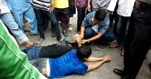 Foto-foto Napi Sialang Bungkuk yang Beredar di Medsos