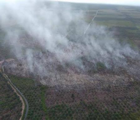 Termasuk Riau, Hotspot Sumatera Membara 446 Titik