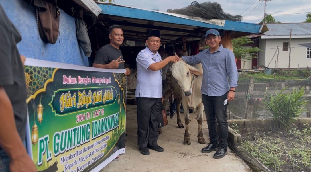 PT GIN Salurkan 18 Ekor Sapi Qurban untuk Desa Binaan dan Karyawan