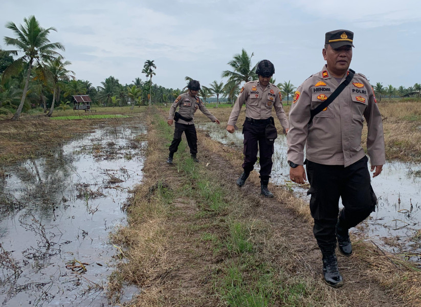 Lewati Persawahan, Kapolsek Sungai Barang Terus Gencar Laksanakan Cooling System Pemilu 2024