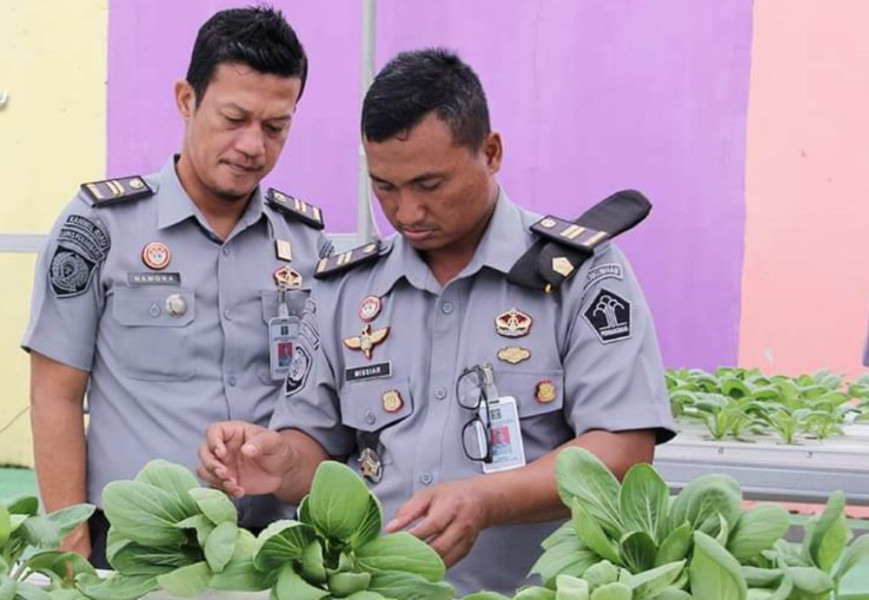 Sayur Tanaman Hidroponik Lapas Kelas II A Pekanbaru Dipasarkan