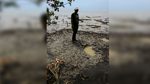 Pantai Senyum Desa Teritip Indragiri Hilir Menanti 'Polesan' Pemerintah