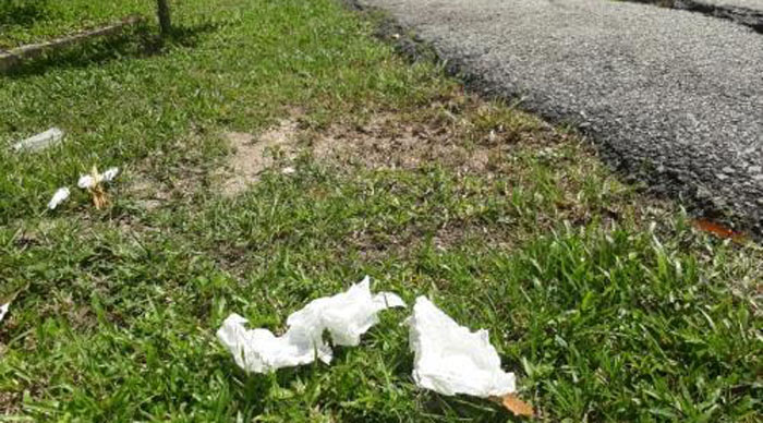 Ada 'Mobil Dinas Bergoyang' Milik Pemkab Pelalawan di Kuansing, Diduga Lagi Mesum