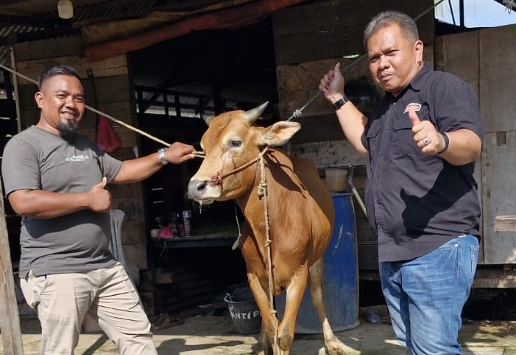 Idul Adha 1445 H, PT GIN Berikan 14 Ekor Sapi Qurban untuk Masyarakat dan Karyawan