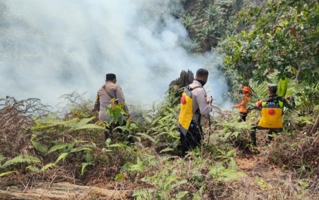 Sumatra Catat 195 Titik Panas, Riau Penyumbang Terbesar