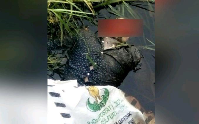 Warga Heboh Ada Mayat Pria Tak Utuh Ditemukan di Dalam Parit