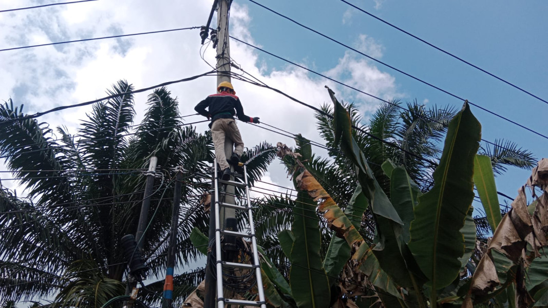 Ini Upaya PLN Icon Plus Tingkatkan Keandalan Jaringan dan Layanan di Minas Barat