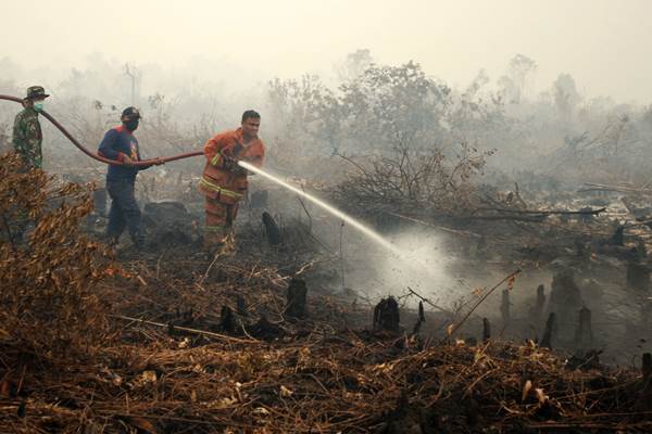 Titik Api Masih Marak di Riau, Terbanyak di Siak dan Inhil