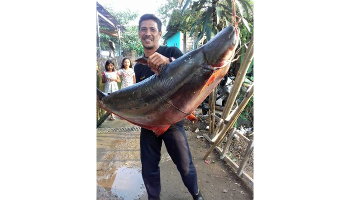 Mancing Dapat Ikan 60 Kg, Warga Takut Tempatnya Angker