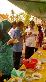Desa Sungai Dusun Inhil Mewakili Riau Dalam Lomba Tanaman Obat