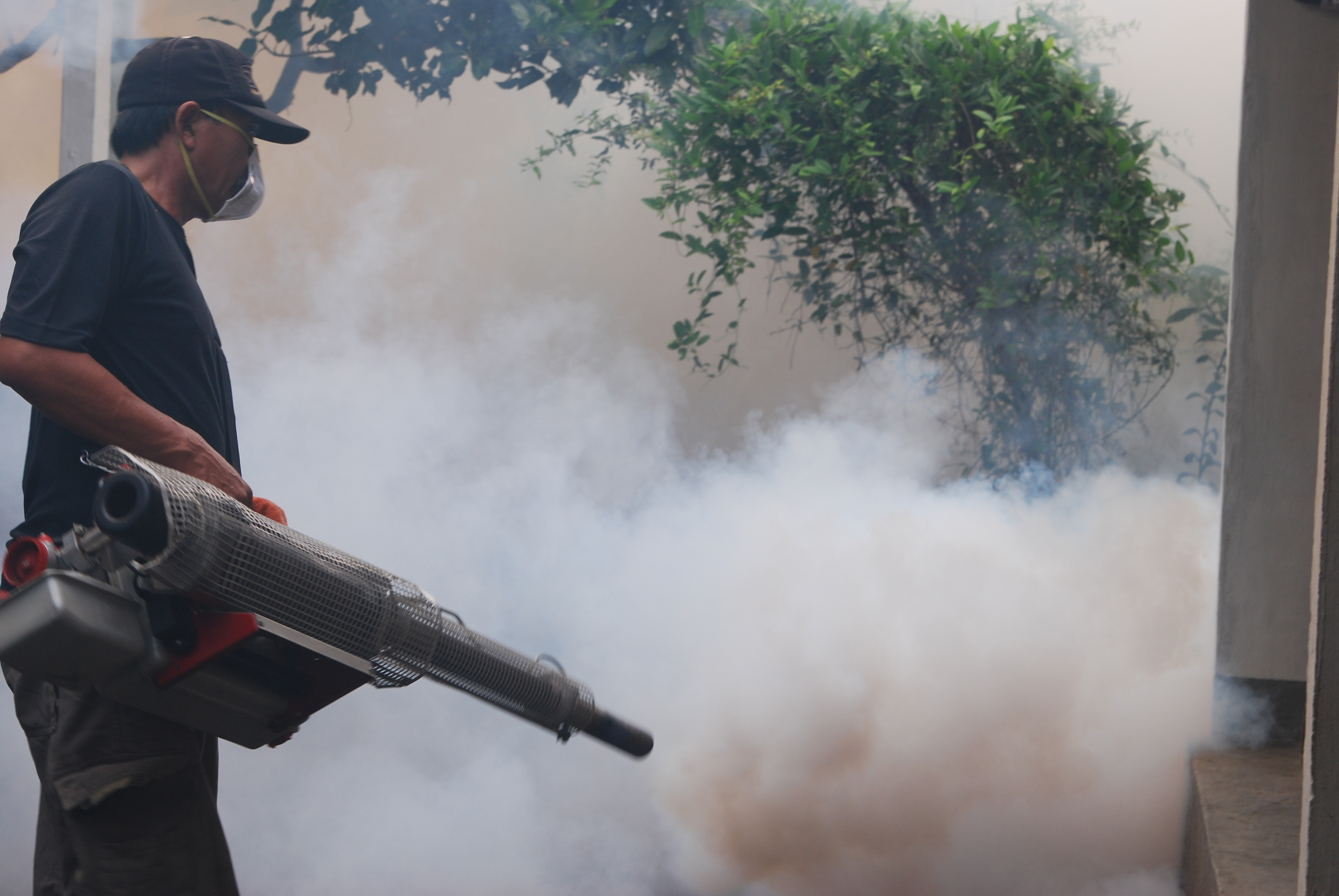 Kesadaran Warga Bersihkan Lingkungan Meningkat, Kasus DBD di Pekanbaru Turun, Apa Kata Dinkes?