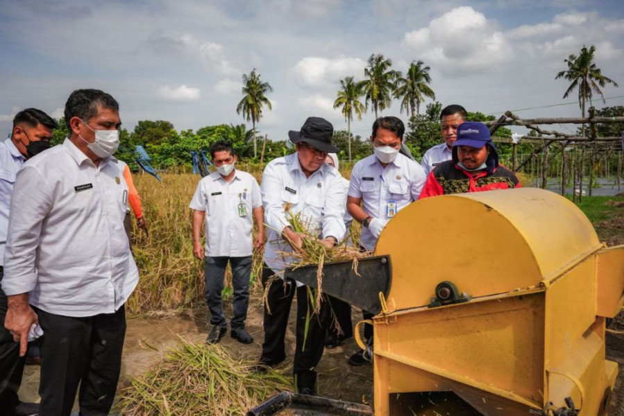 Tingkatkan Kesejahteraan Petani, Ini yang Dilakukan Pemprov Riau