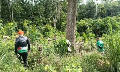 BKSDA Riau Lakukan Pencarian Beruang Madu di Hutan Kota