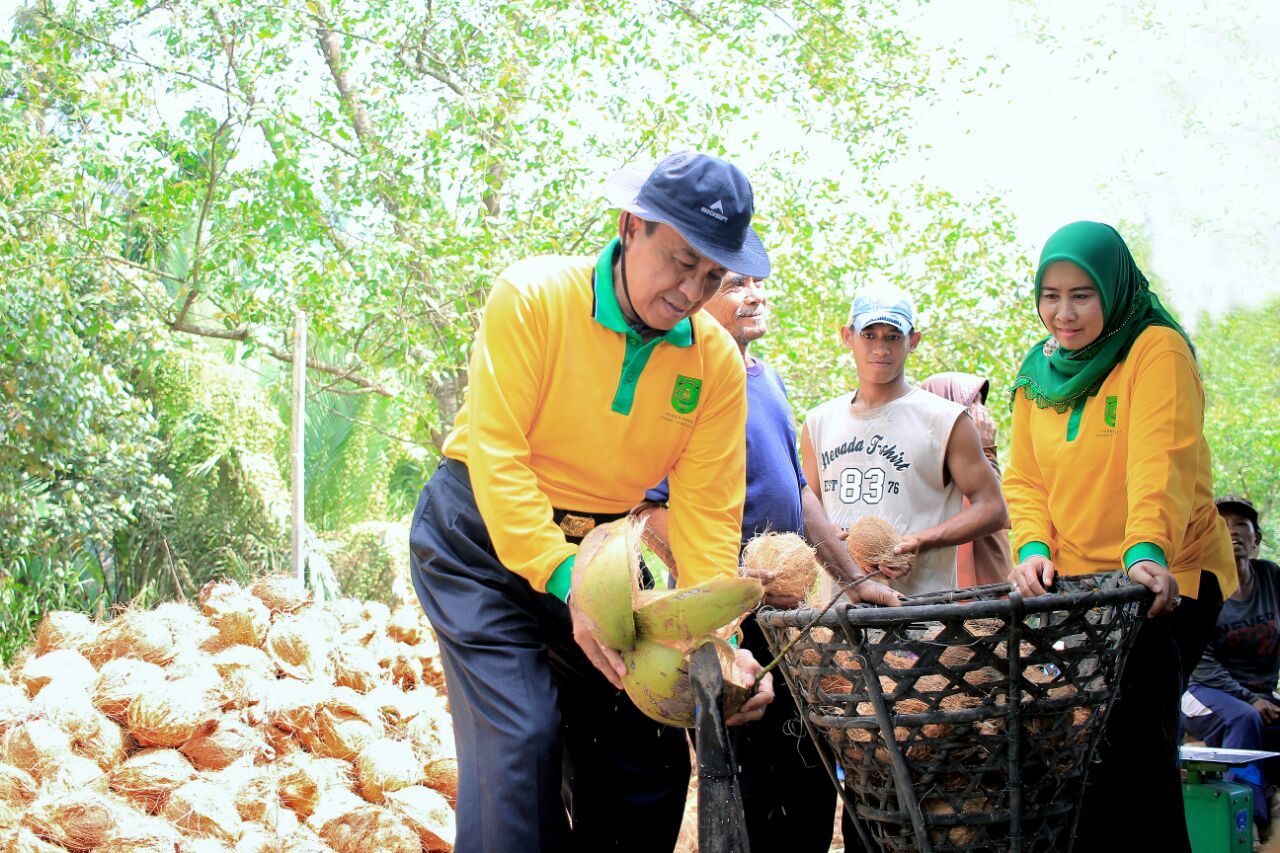Kabupaten Inhil, Negeri Hamparan Kelapa Dan International Coconut Exhibition