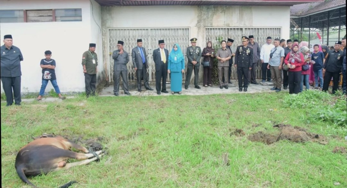 Setdakab Inhil Gelar Pemotongan Hewan Qurban