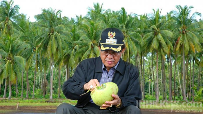 16 Unit Eksavator Di Kerahkan Oleh Pemkab inhil Dalam Rangka Penyelamatan Kebun Kelapa